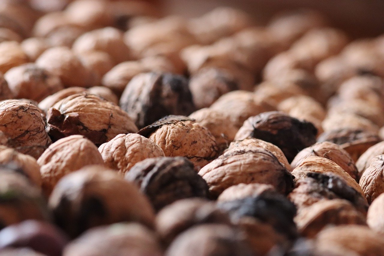 Mond梦都葡萄：鞍山企业注册代理