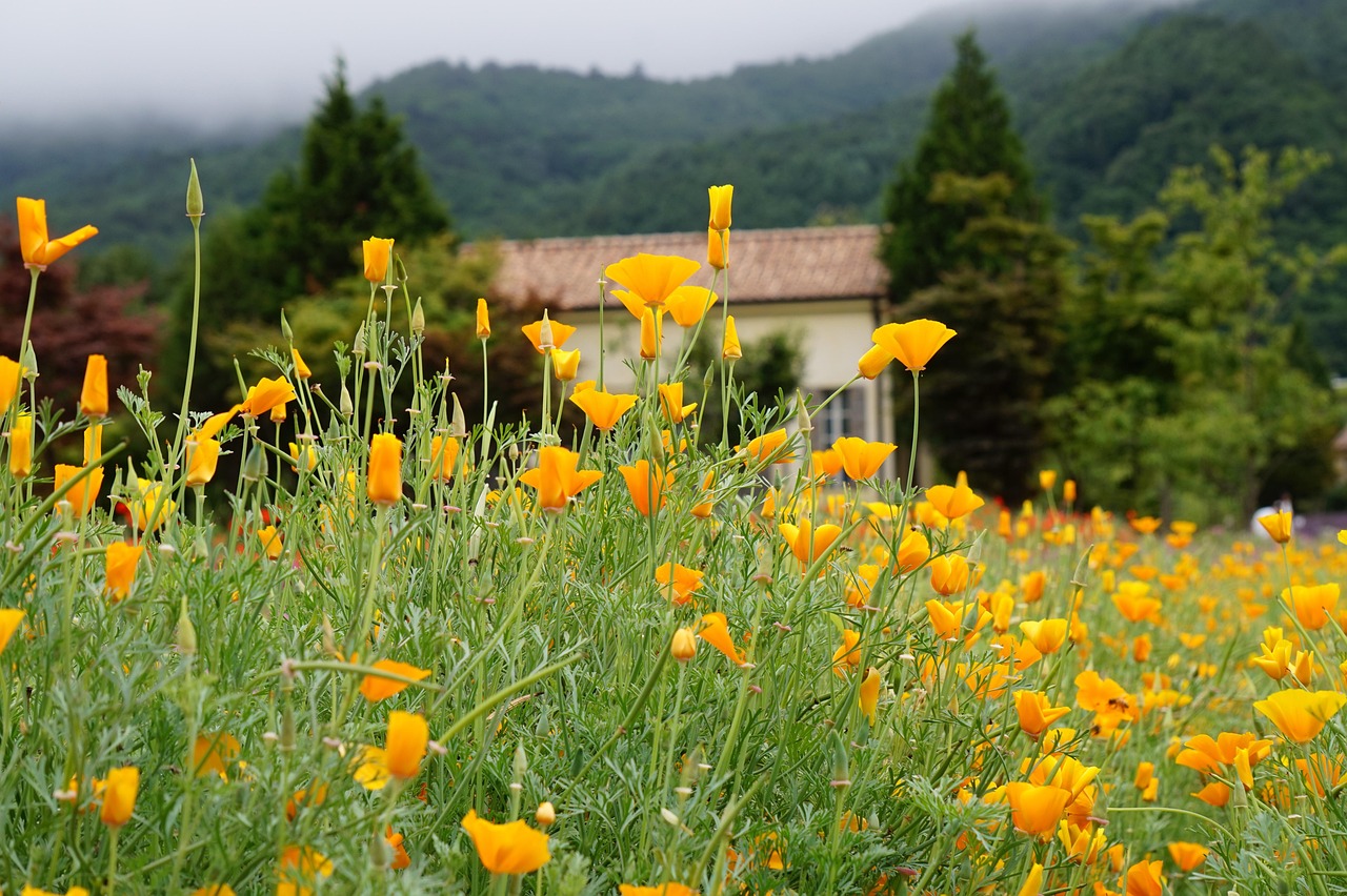 搜狐实名账号：淘宝网店申请注册官网账号